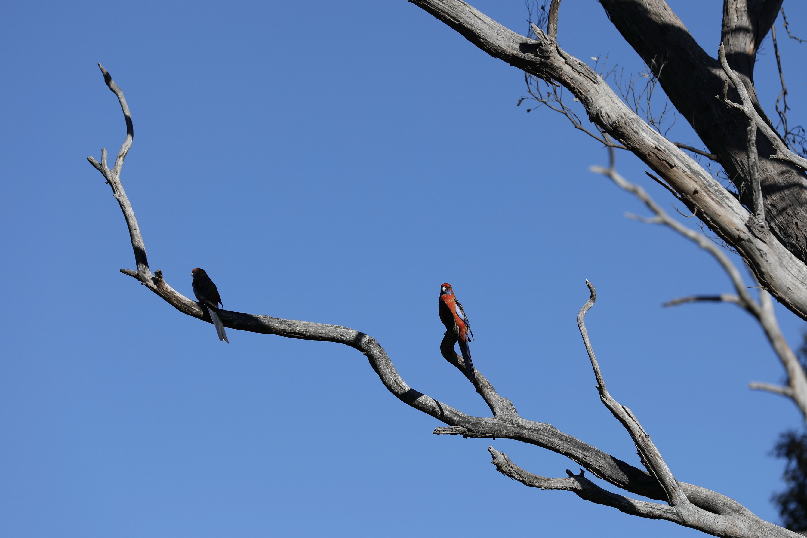 2019 07 19 14 29 14 Canon EOS 5D Mark IV 0028